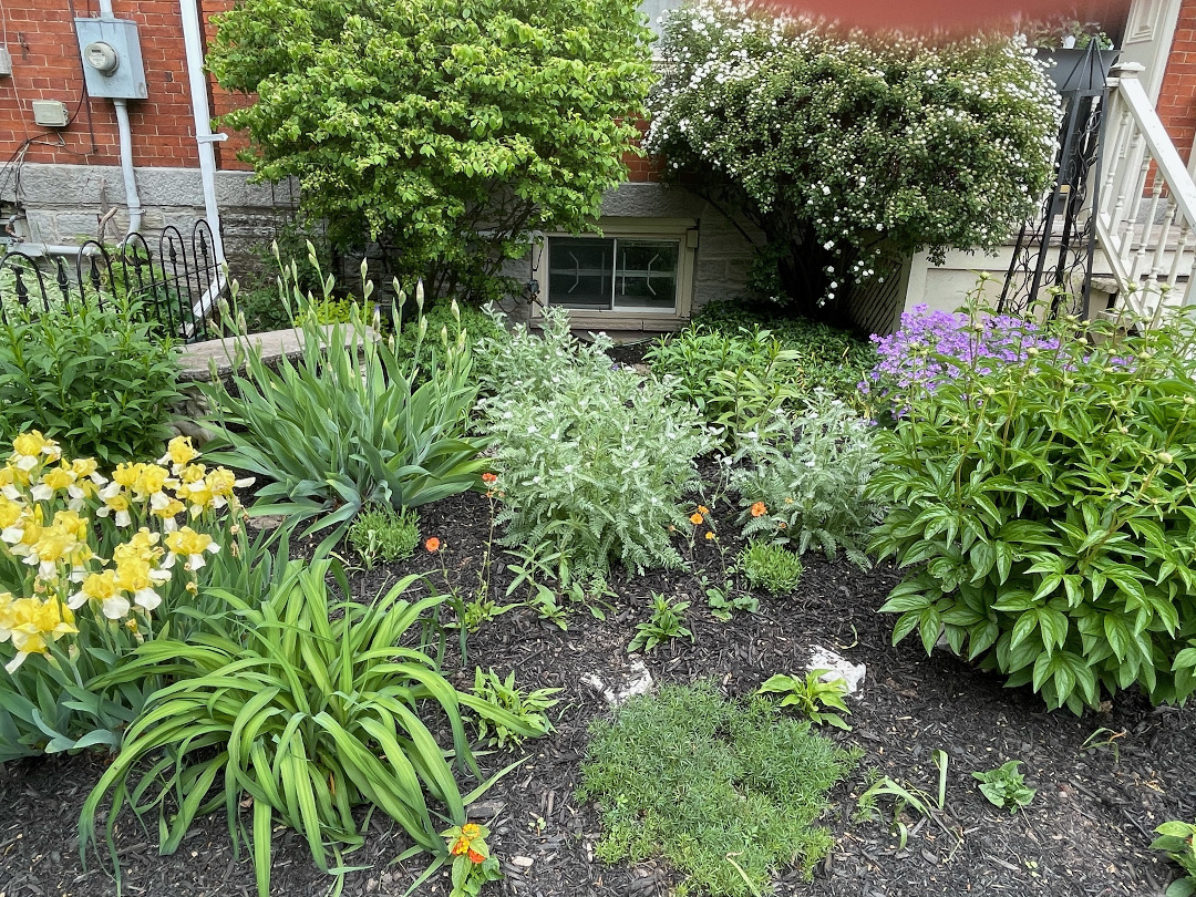 garden bed in front of brick house