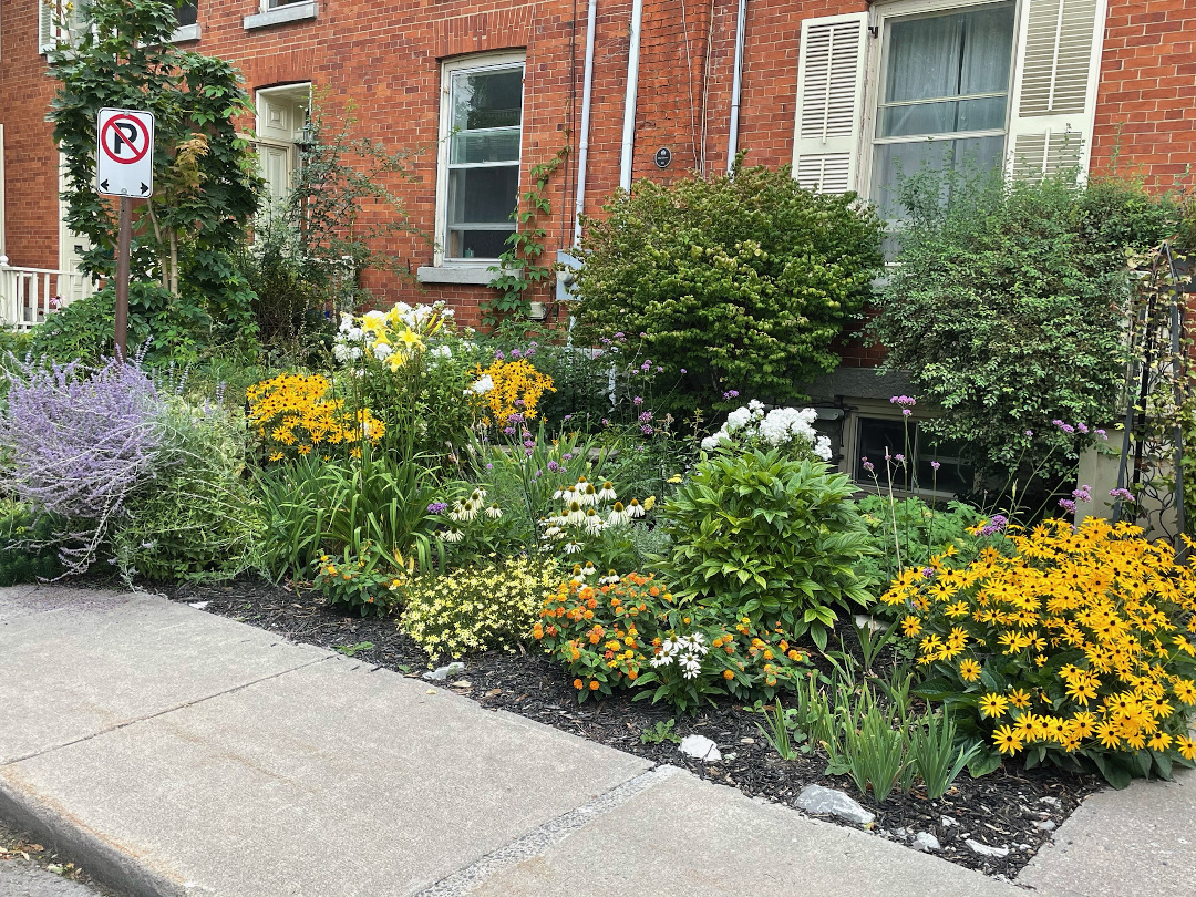 garden bed with yellow white and purple flowers