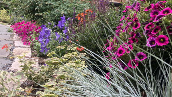 Zone 4b Minneapolis Garden - Fine Gardening