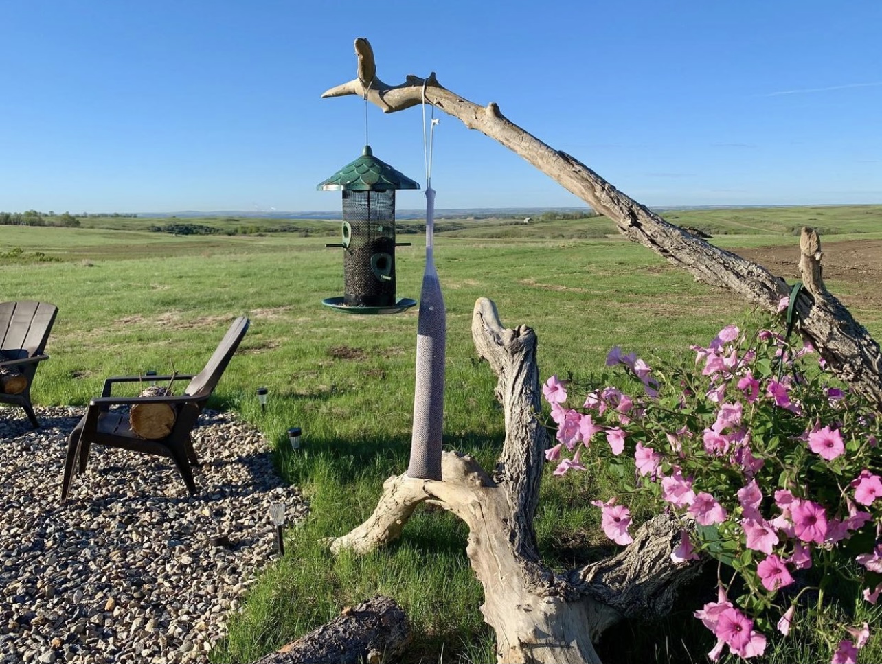 seating area with bird feeder and pink flowers