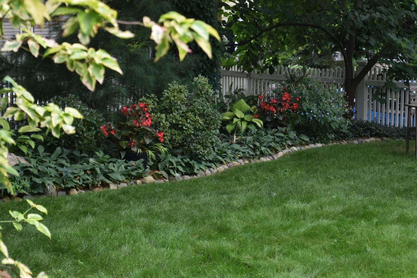 shady garden bed on side of yard