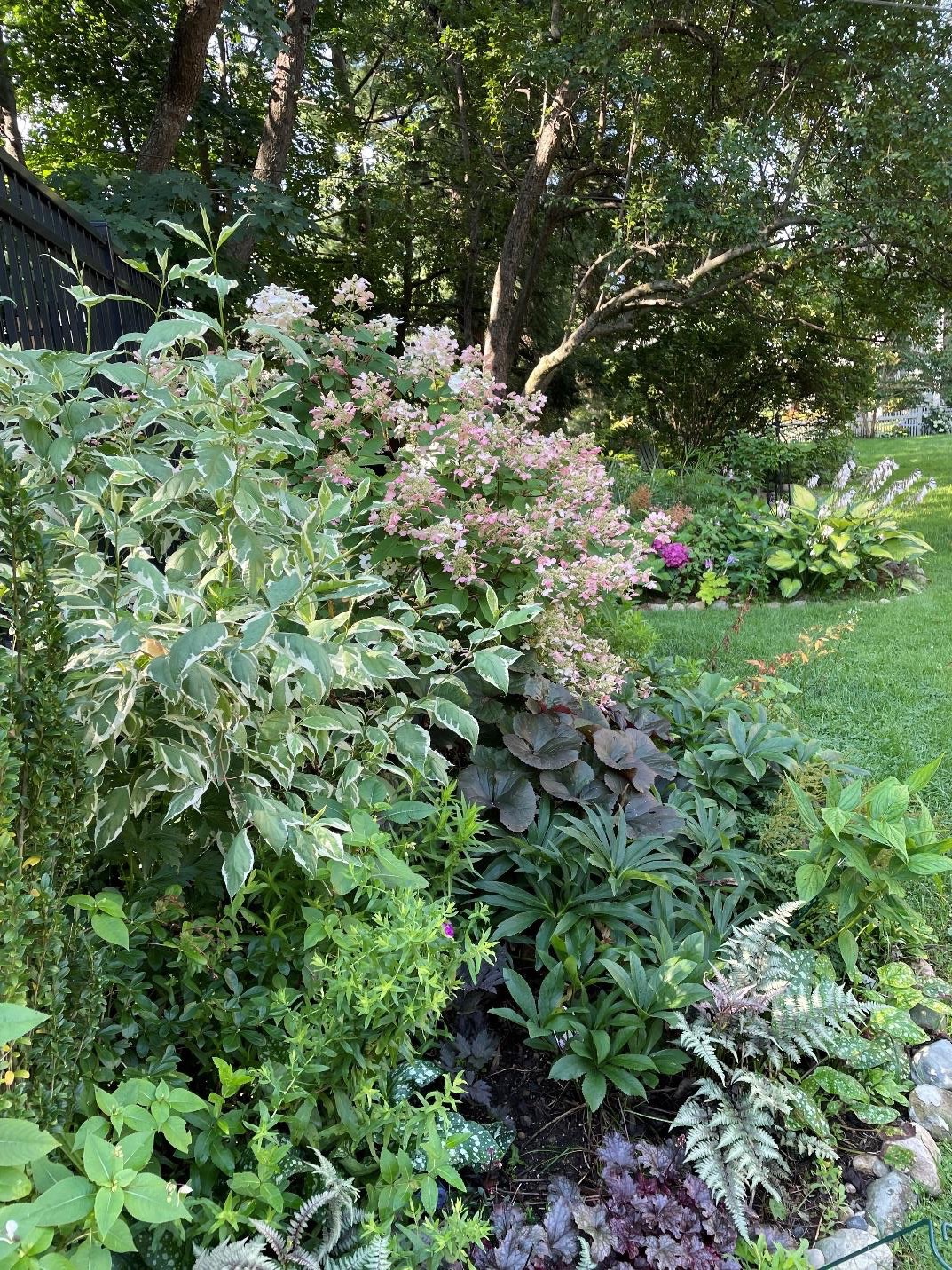 garden bed full of foliage