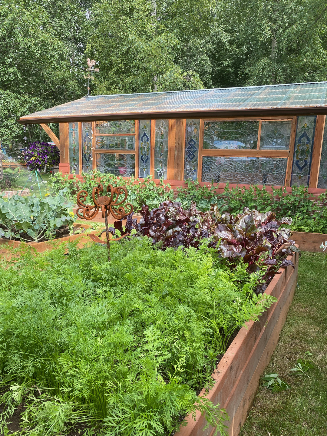 raised vegetable beds next to greenhouse