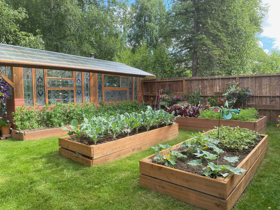 raised garden beds full of vegetables