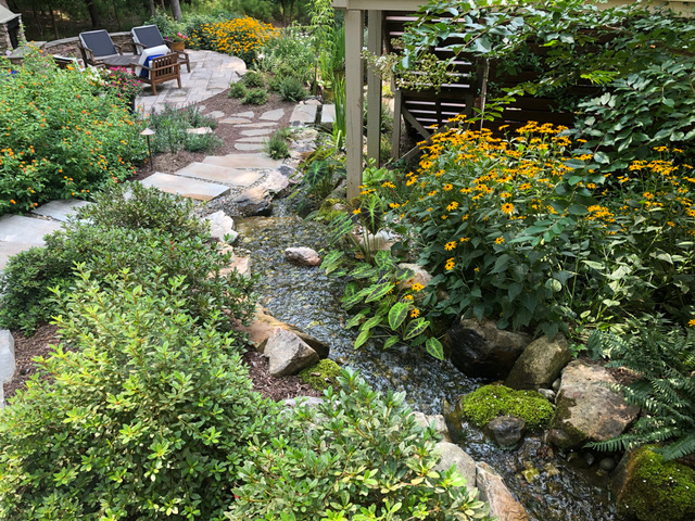 stream cutting through garden