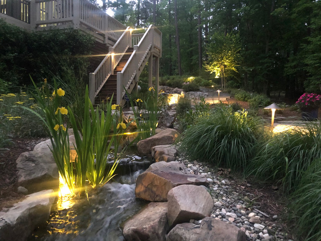 garden at dusk, illuminated by garden lights