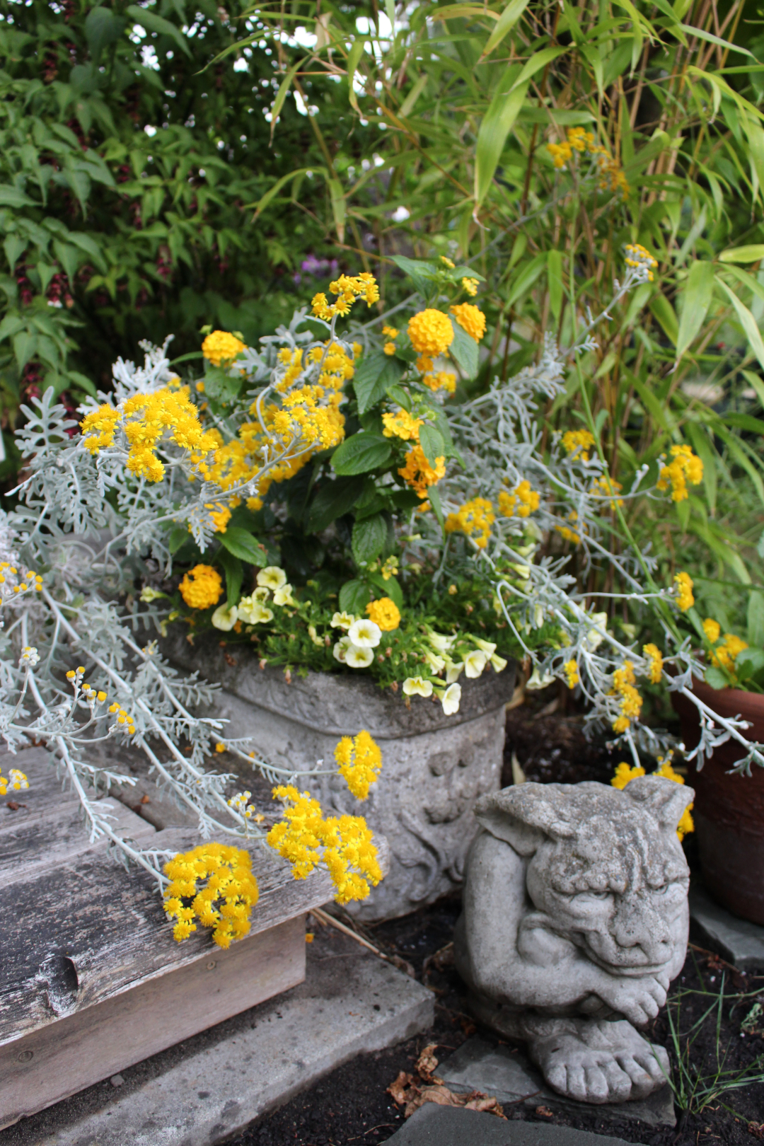 gargoyle statue next to yellow plant in a container