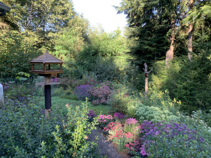 bird feeder in a pollinator-friendly garden