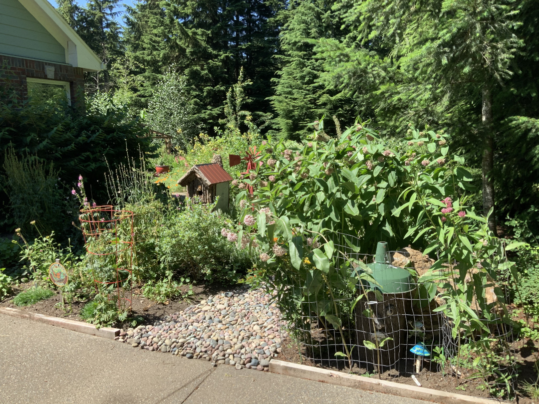 garden bed next to a driveway