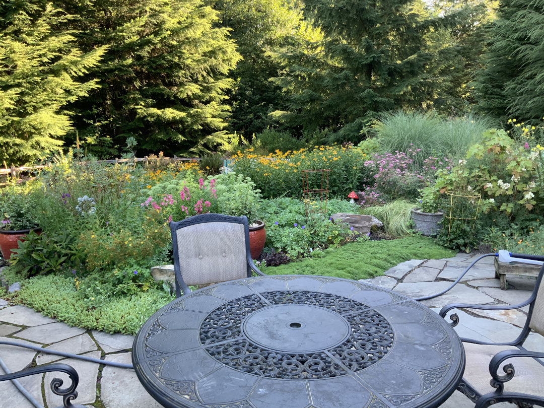 patio table looking out over garden