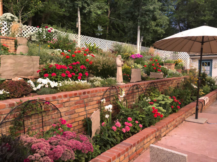 garden with lots of pink plants