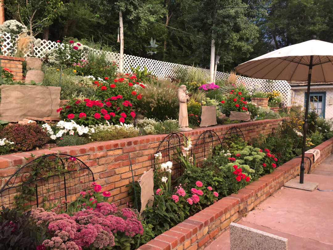 garden with lots of pink plants