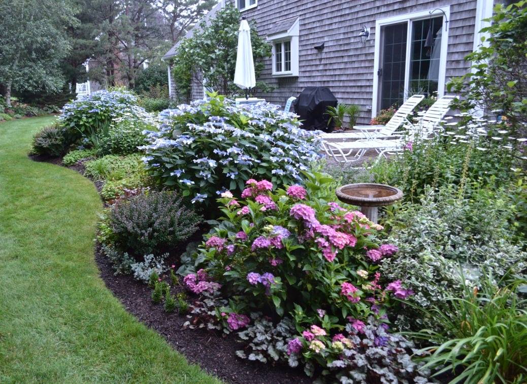 blue and pink hydrangeas next to house