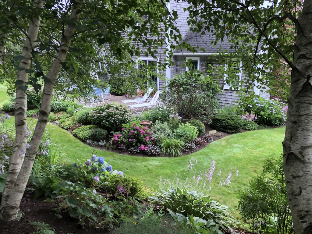 view of garden from back slope