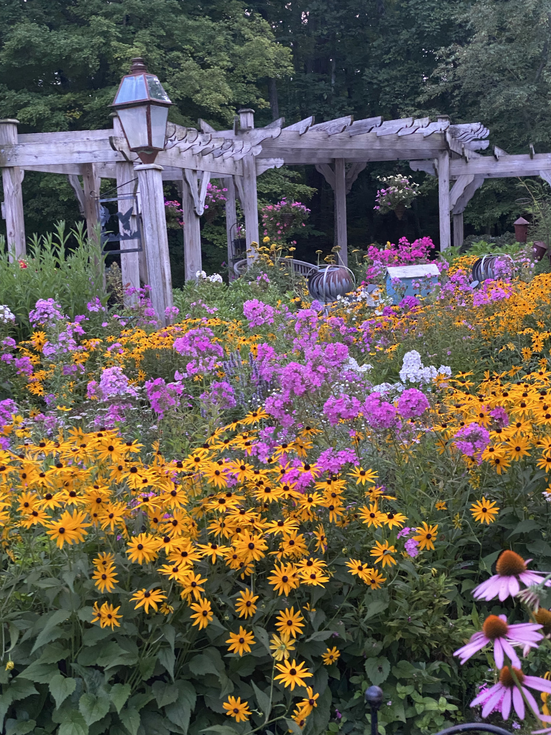 pink and yellow flowers in front of garden pergolas