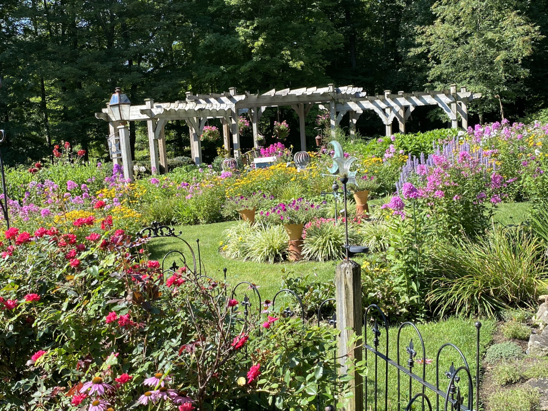 wide view of garden full of plants in bloom