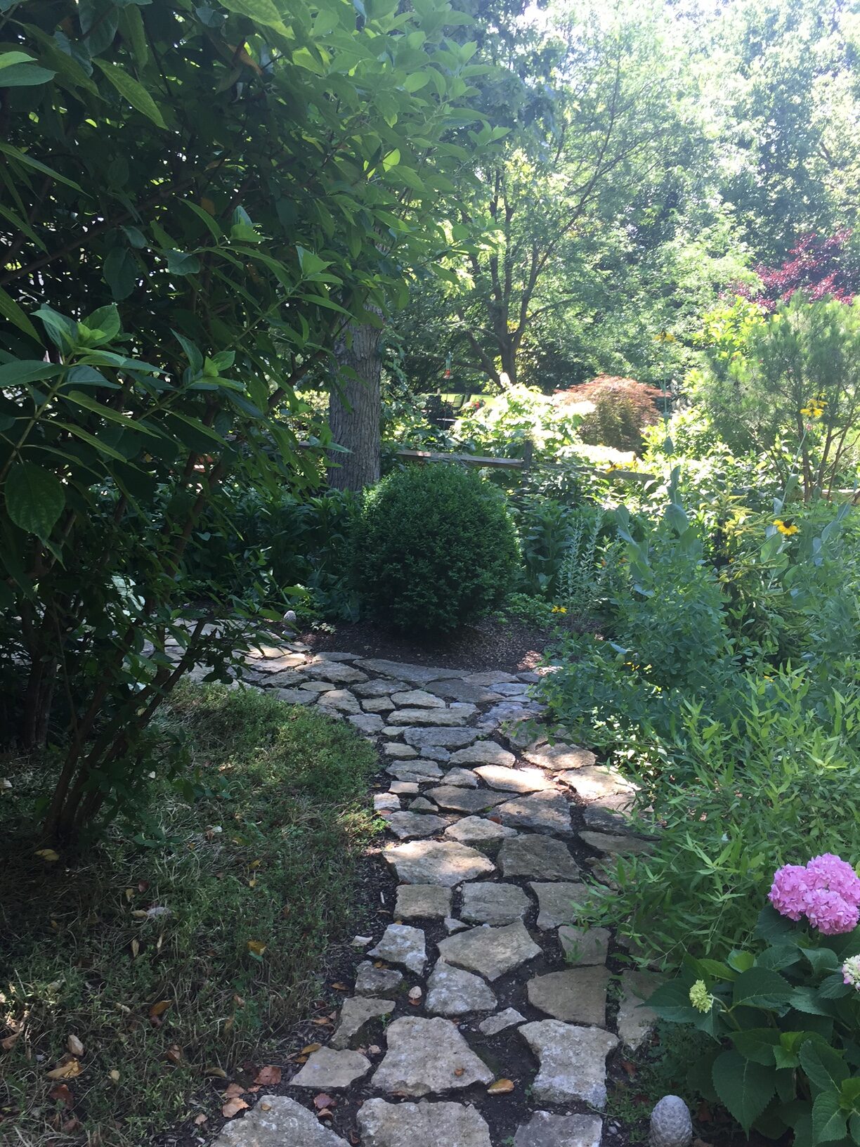 garden path leading to shade garden