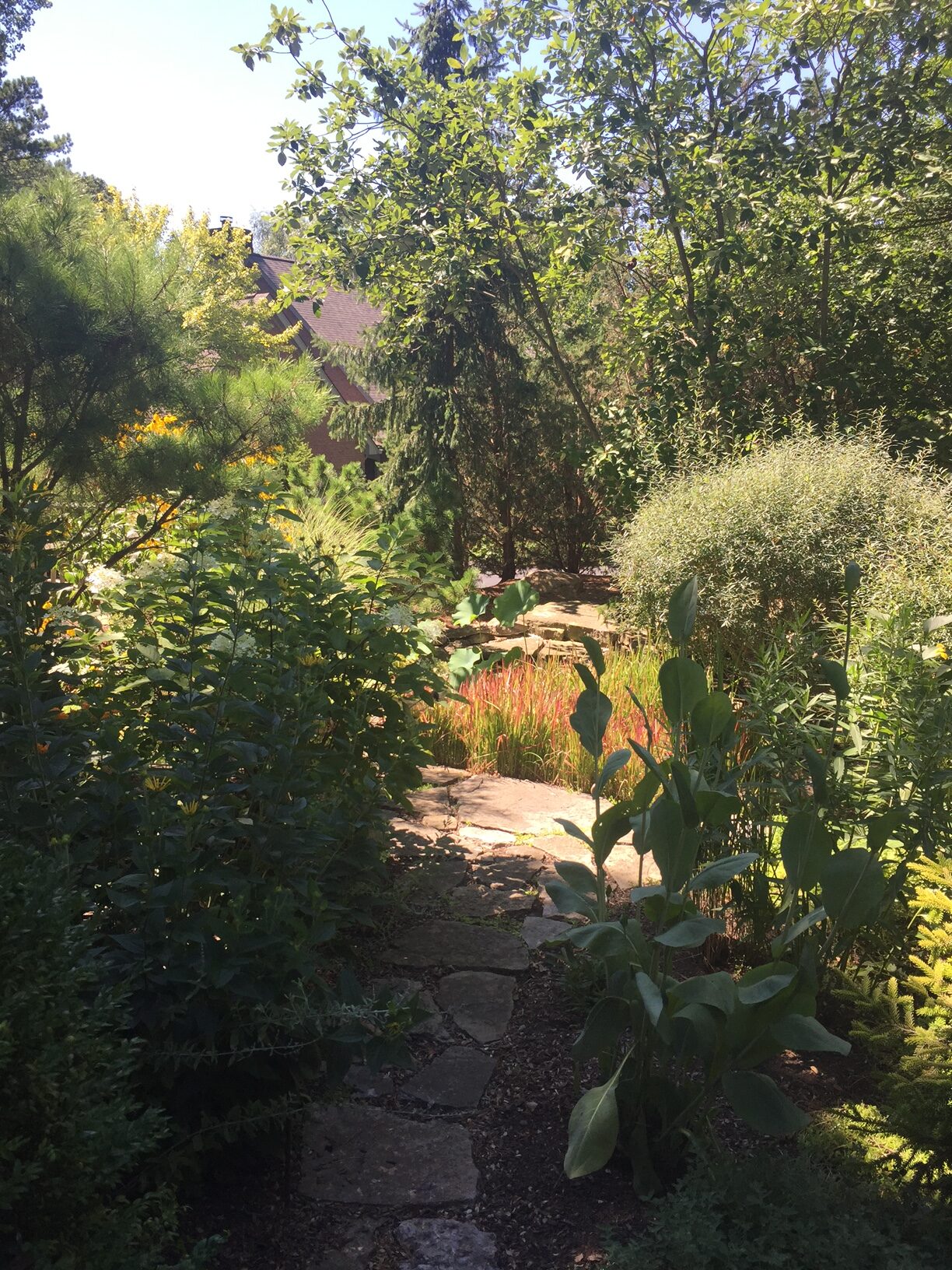 garden path leading to small pond