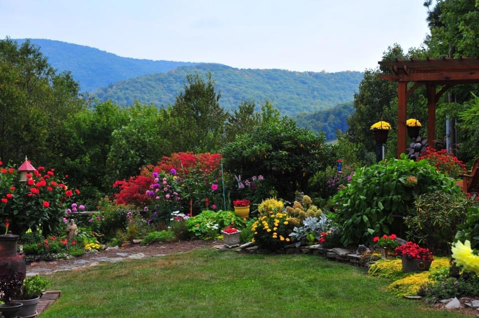 colorful garden with mountain view behind