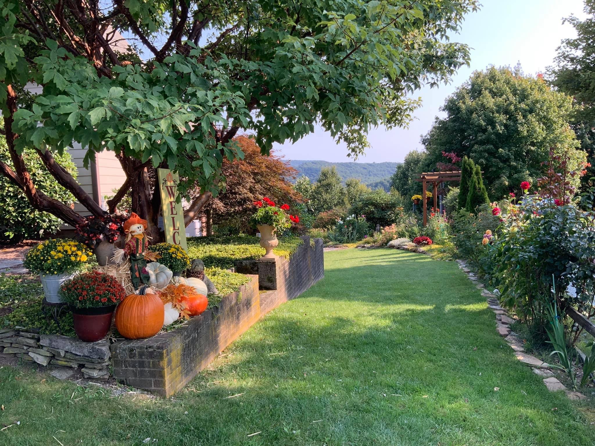 garden in fall with mums and pumpkin