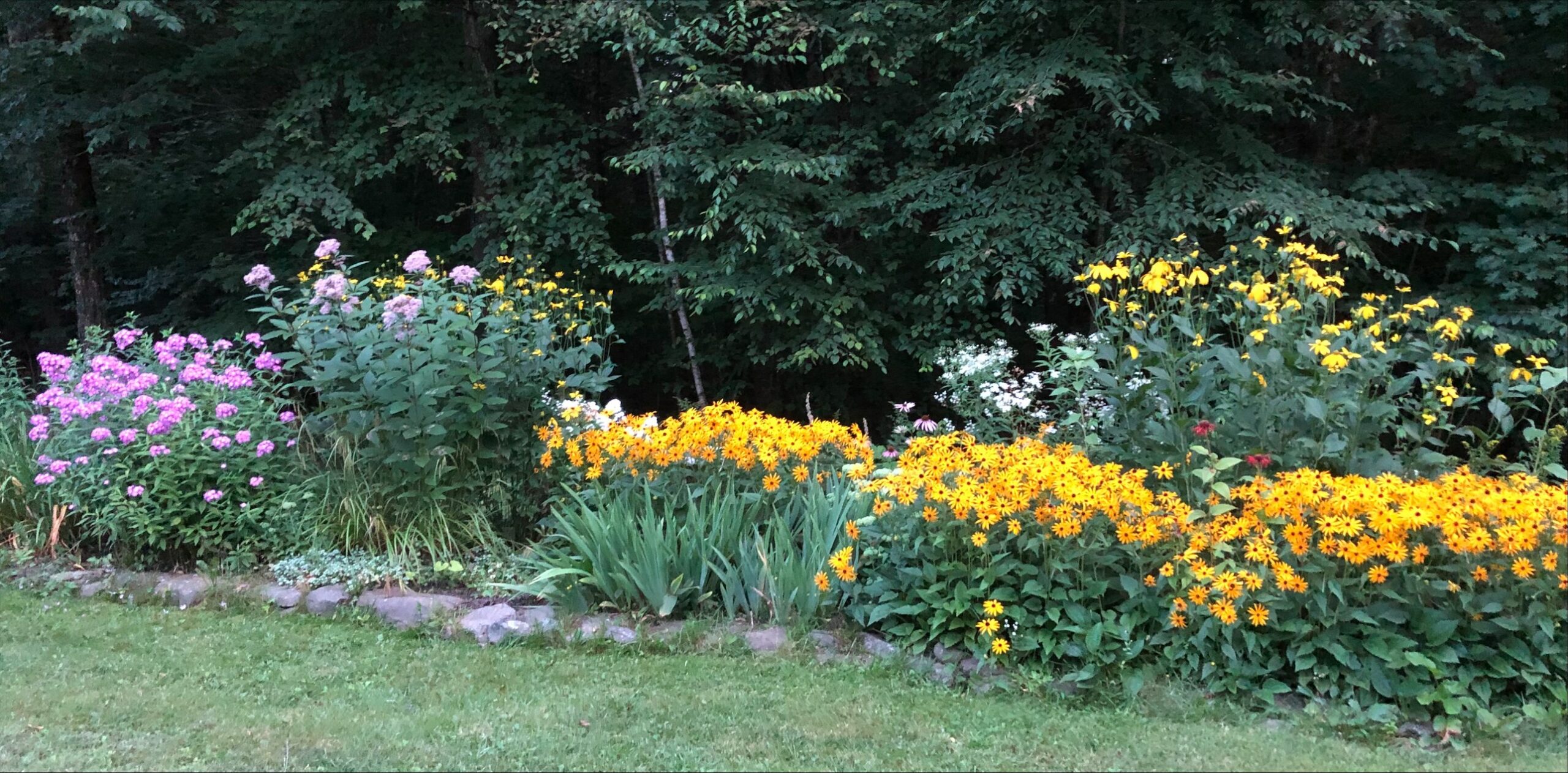 garden bed in full bloom