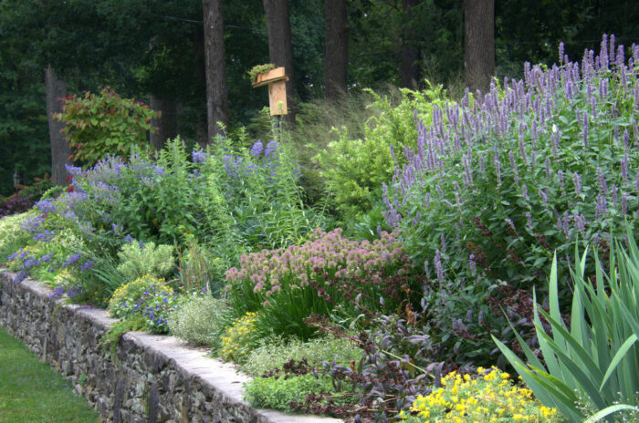 sunny garden bed full of flowers above stone wall