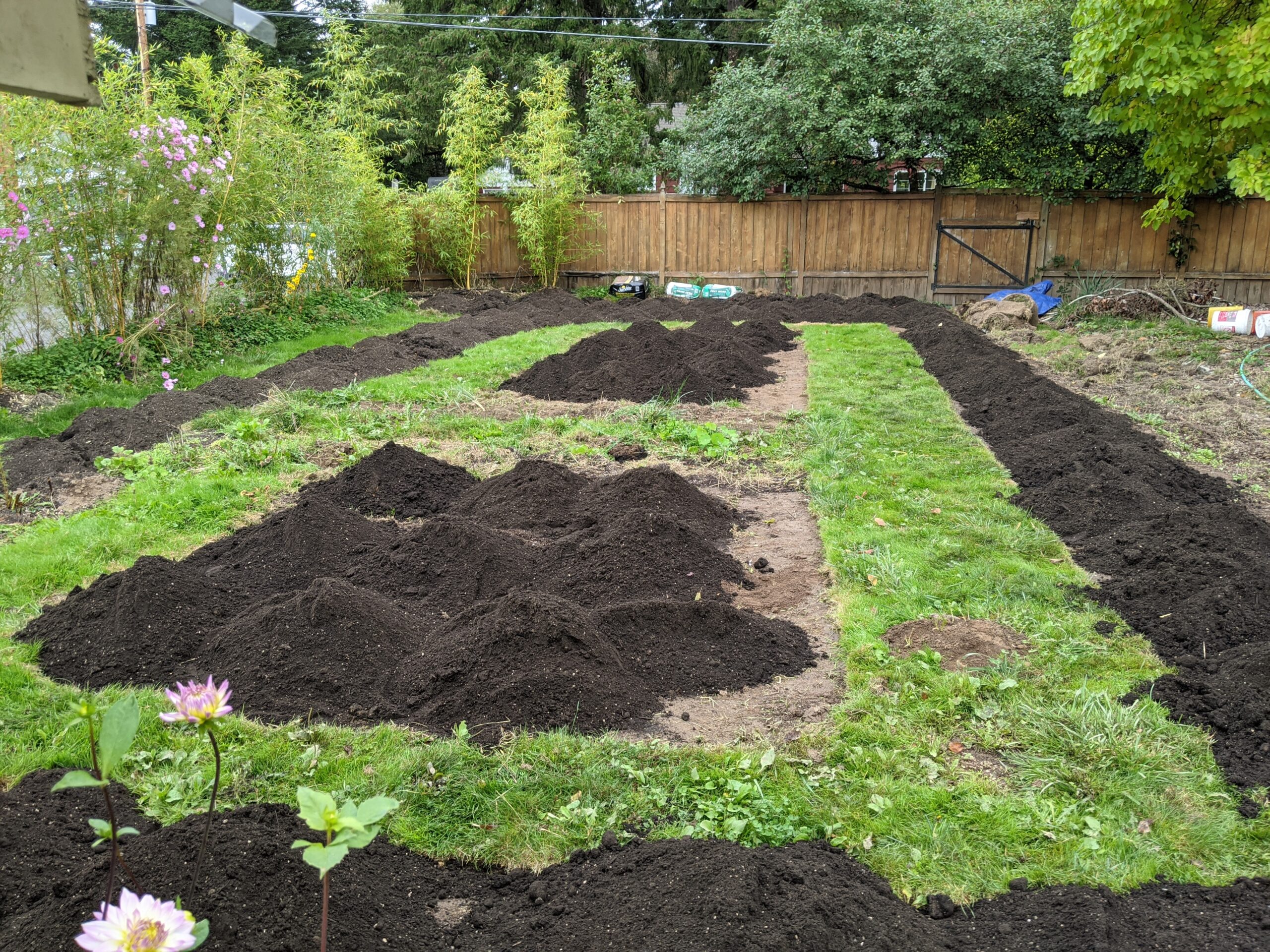 garden beds with piles of compost ready for planting