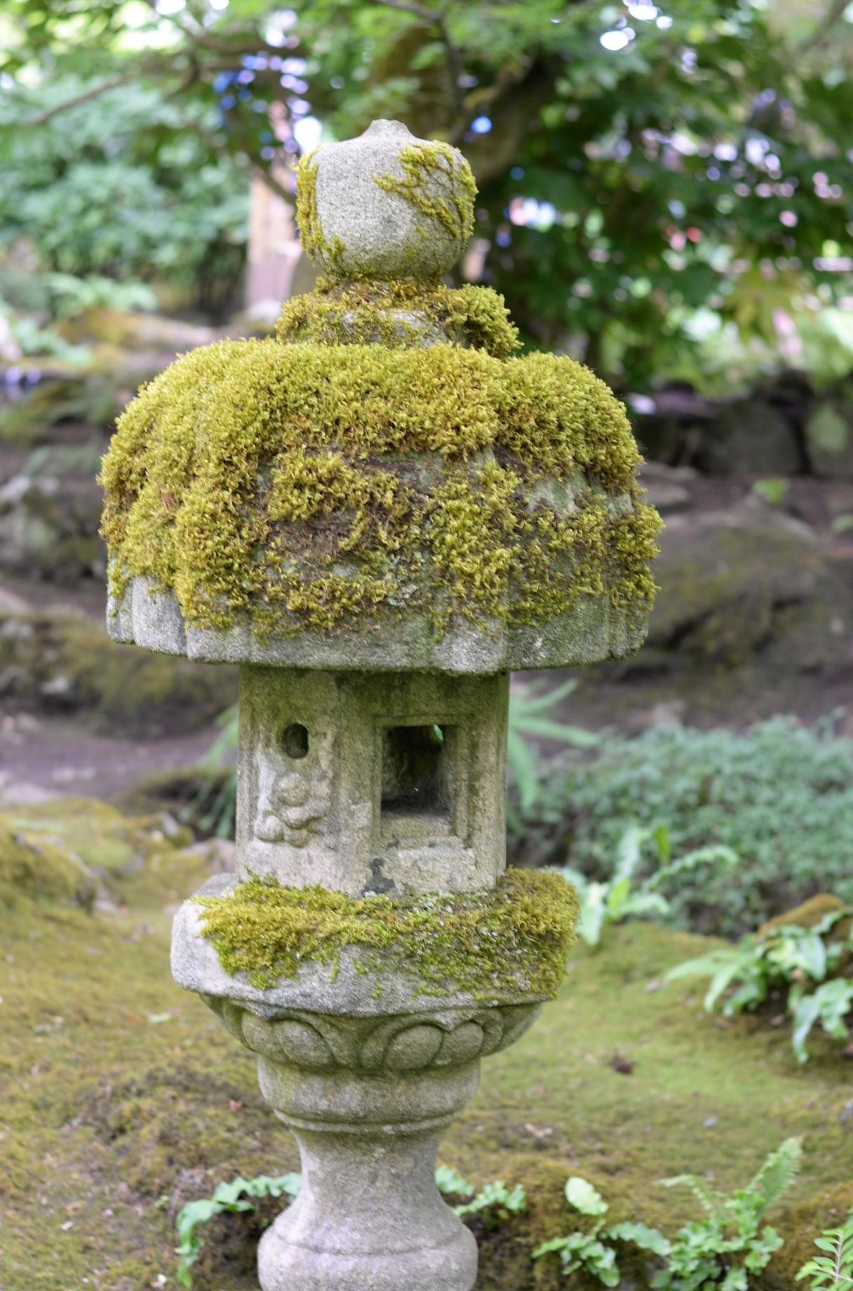 stone lantern covered in moss