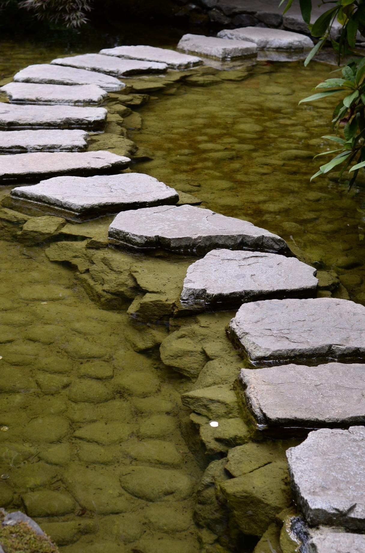 stepping stones through a garden pond