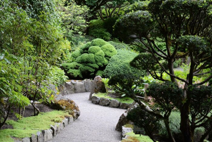 Japanese Zen Garden With Bonsai And Traditional Stone Lantern