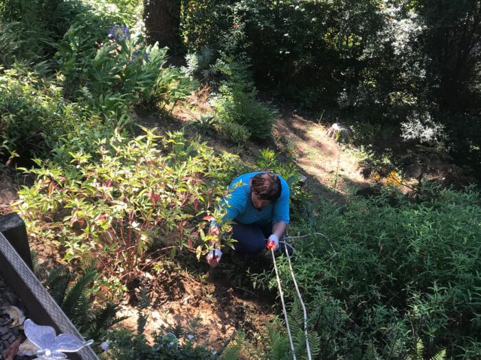 Vickie gardening on the hillside