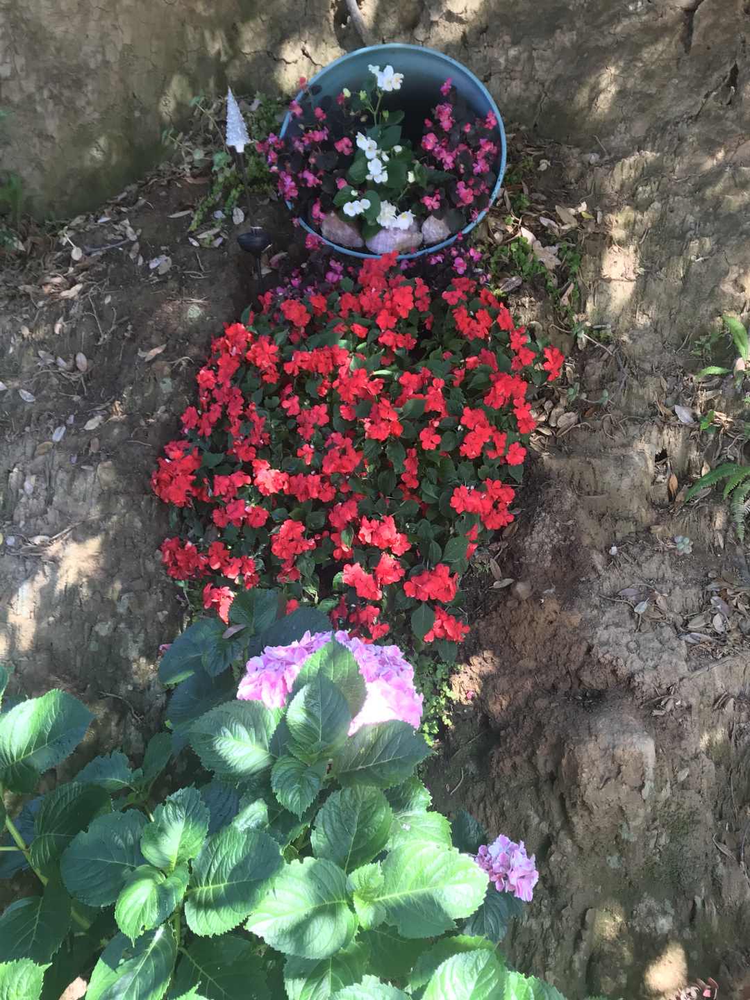 beautiful hillside waterfall of impatiens