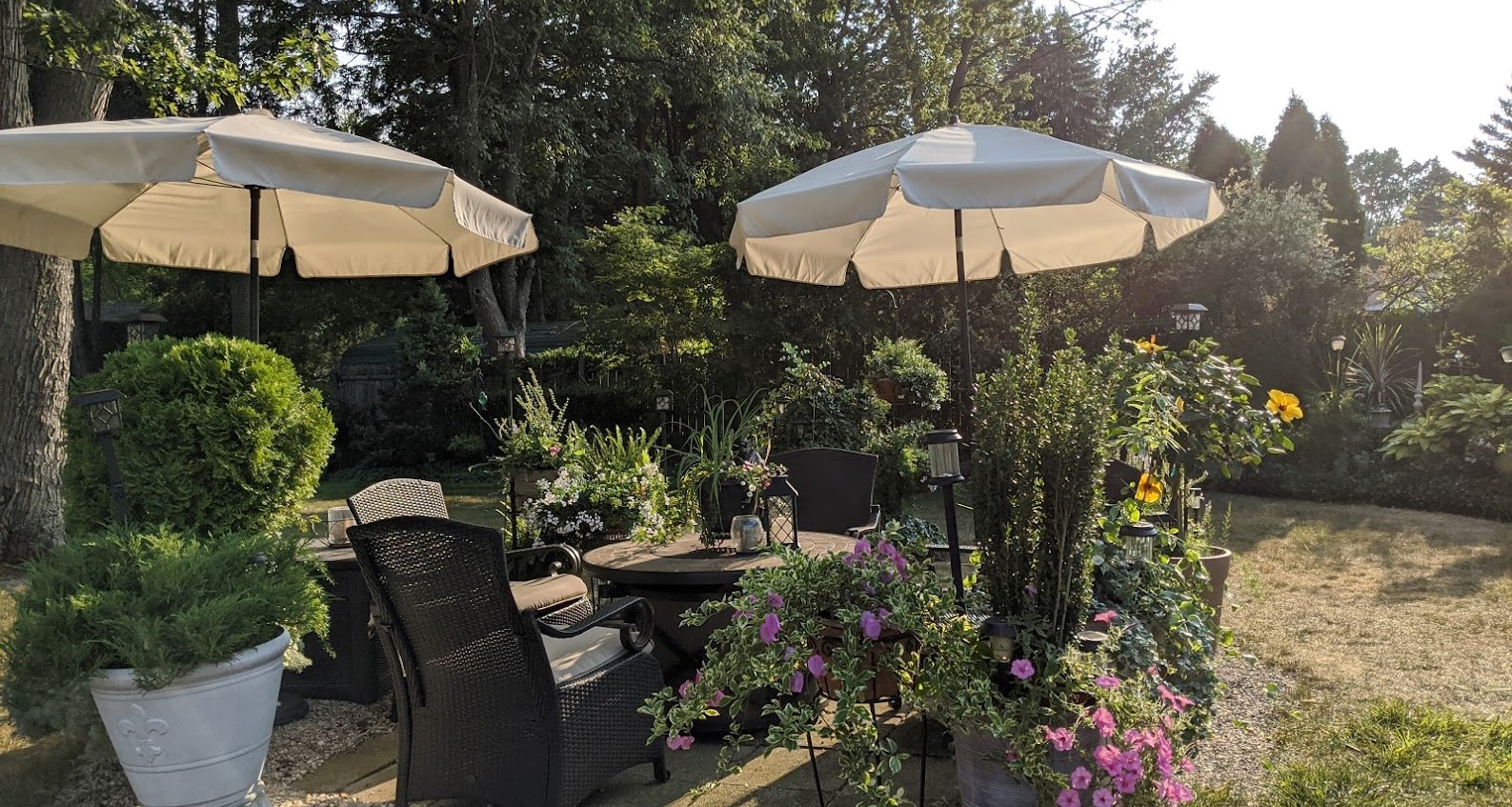 Patio surrounded by planters