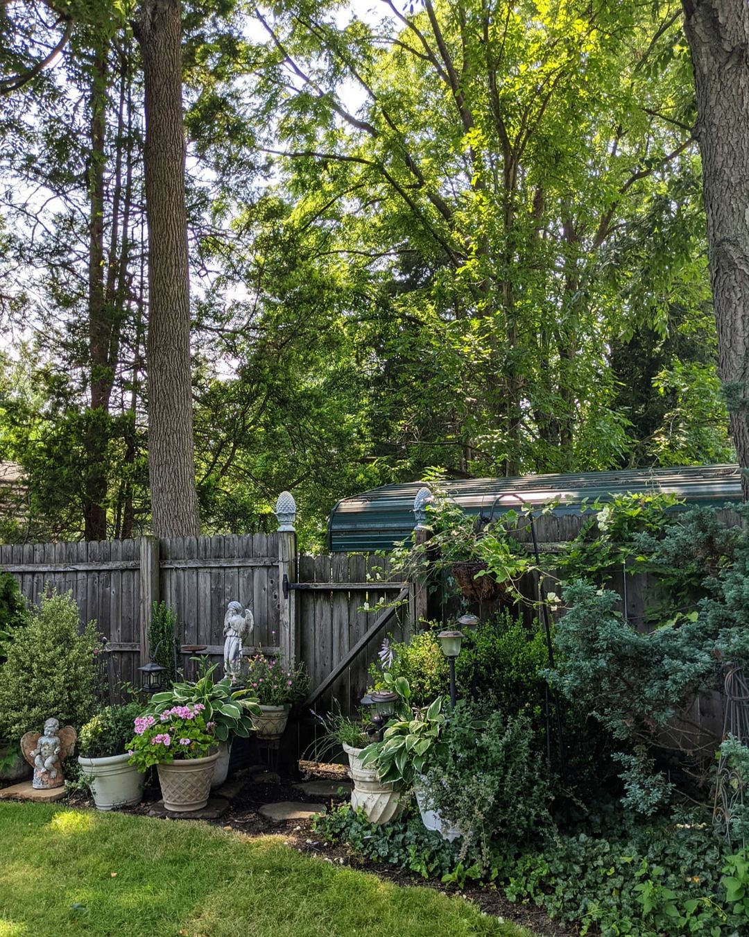 Planters that have a slight hint of pink geraniums