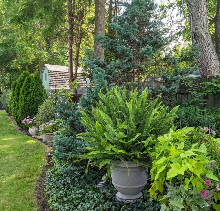 planters along a fence