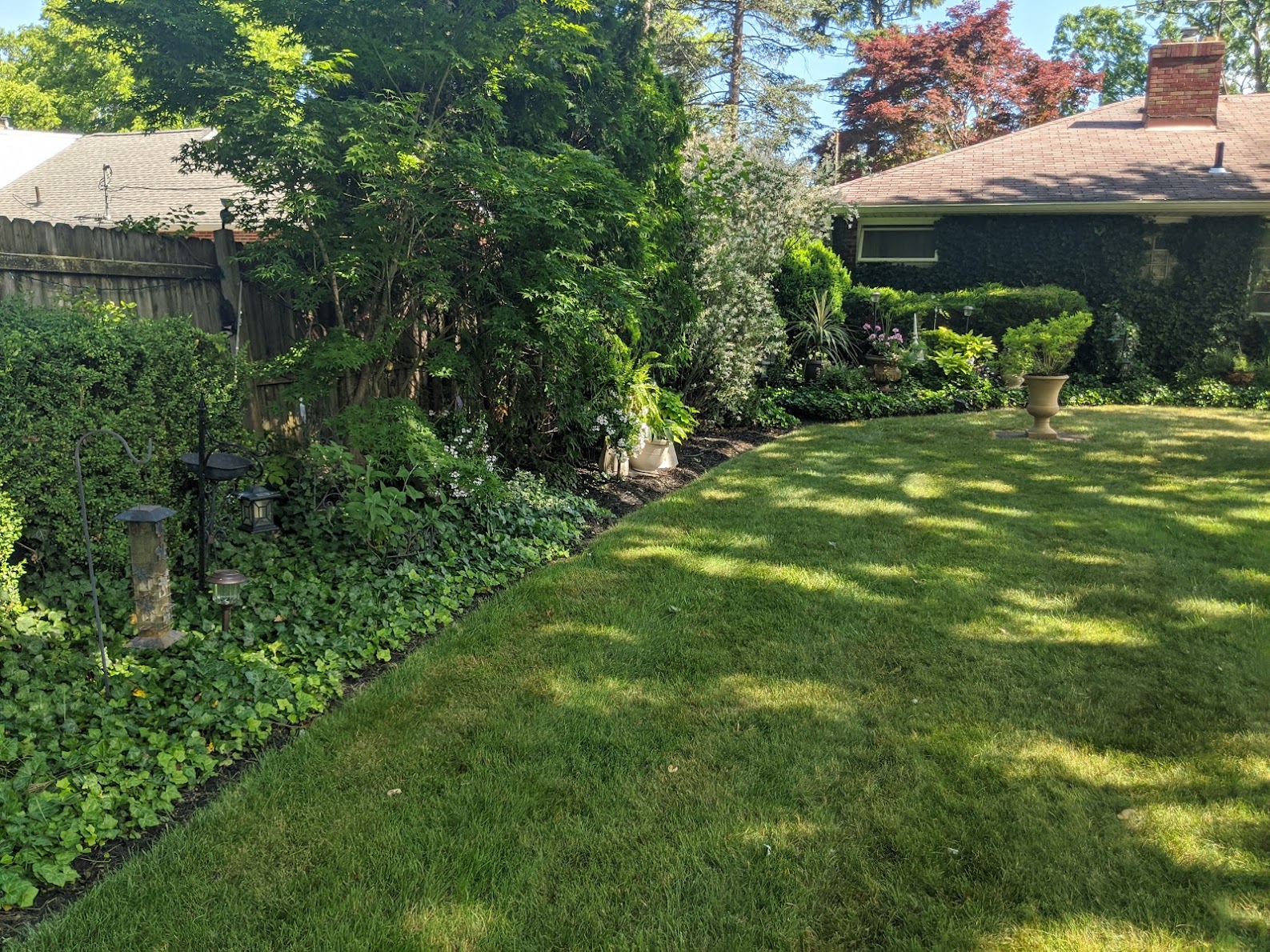 View of house with vines covering the house side