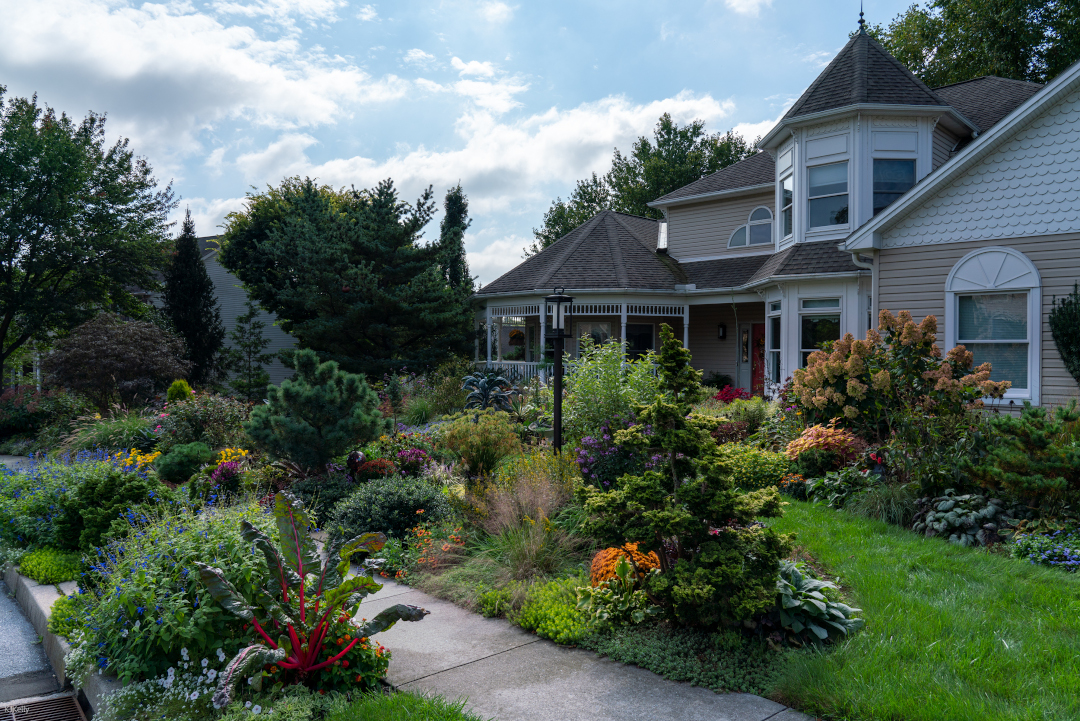 Garden layout in the front of a house