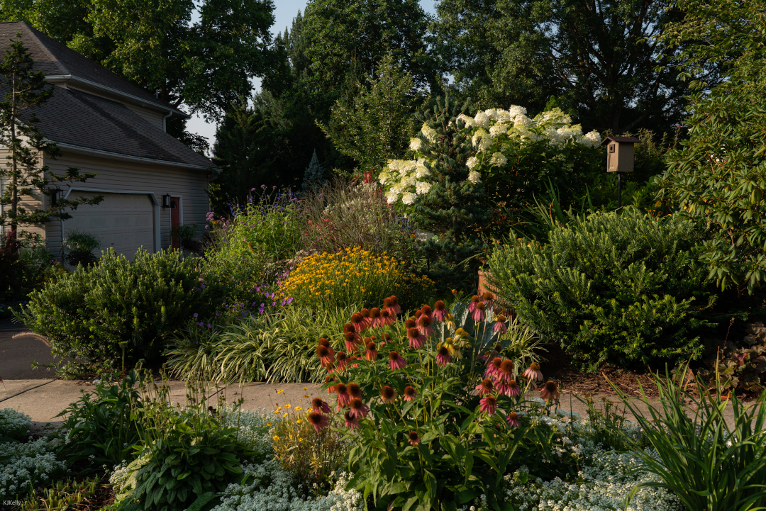 pollinator garden