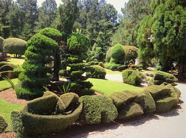 intricately shaped shrubs