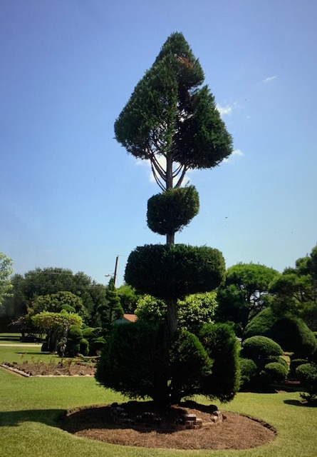 some the tallest topiary sculptures