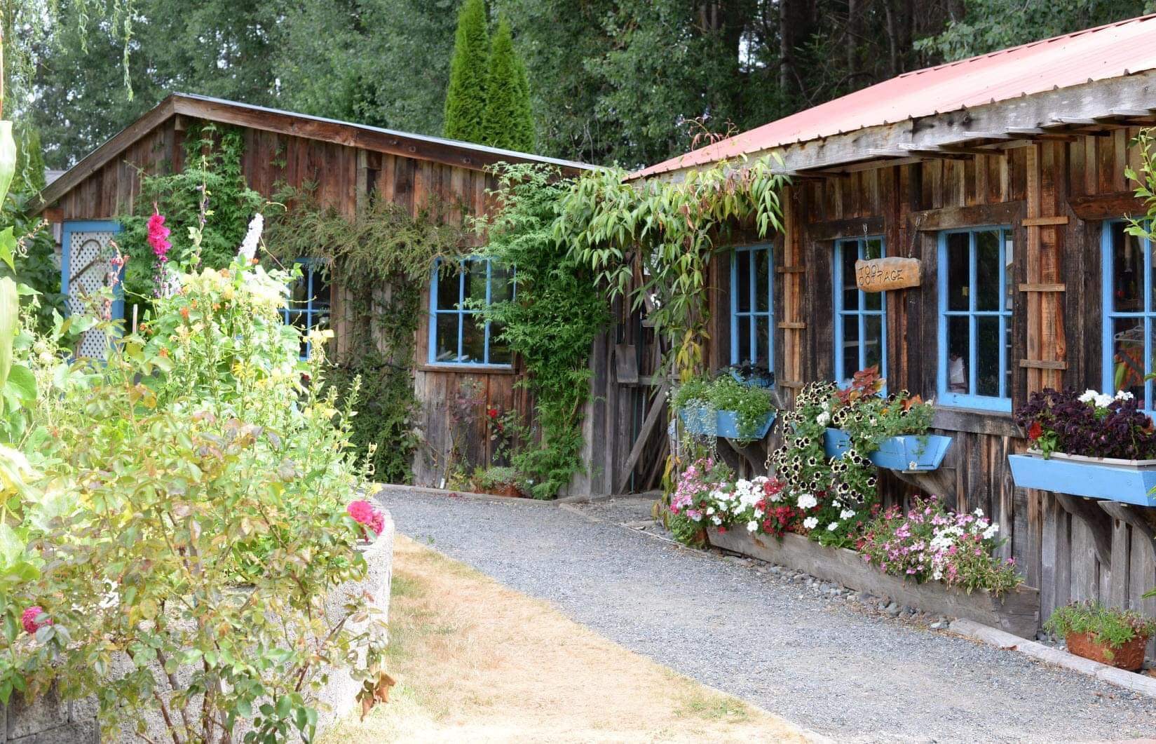 flower boxes hanging from the window