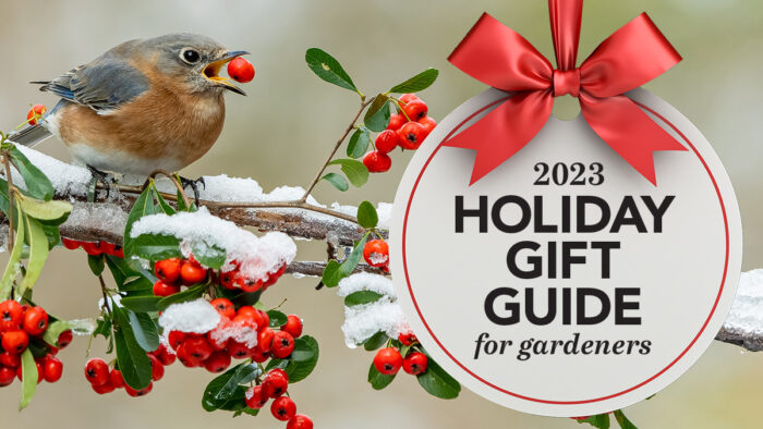 gift ideas gardeners