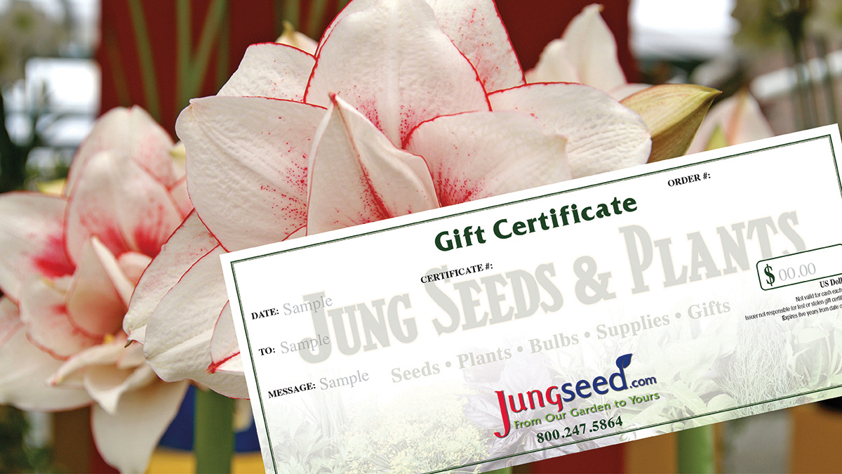 Jung Seed gift certificate