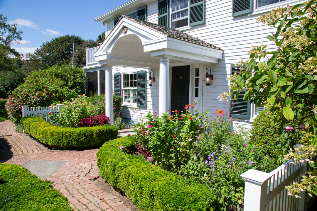 tall zinnias bring color and informal charm.