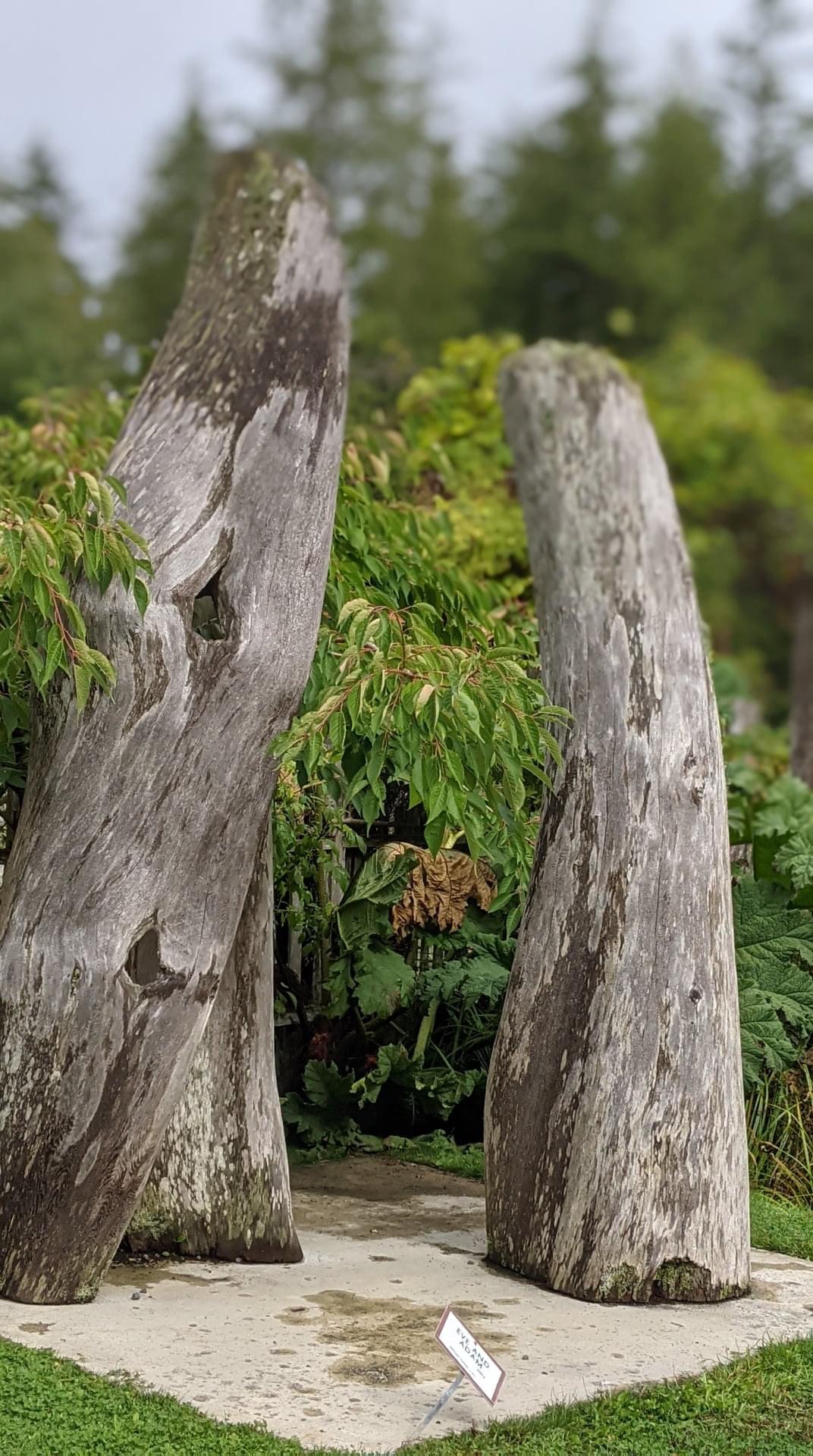 tree art