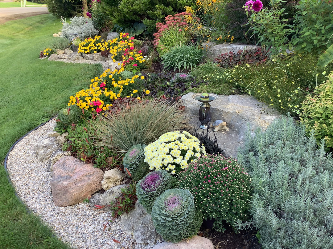 Yellow Marigolds and salvias