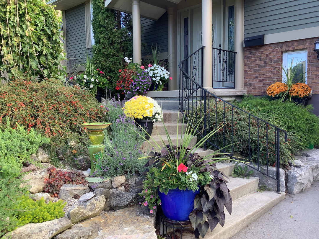 Pathway leading up to front door