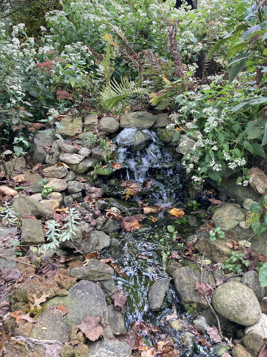 a naturalistic trickle of water between stones