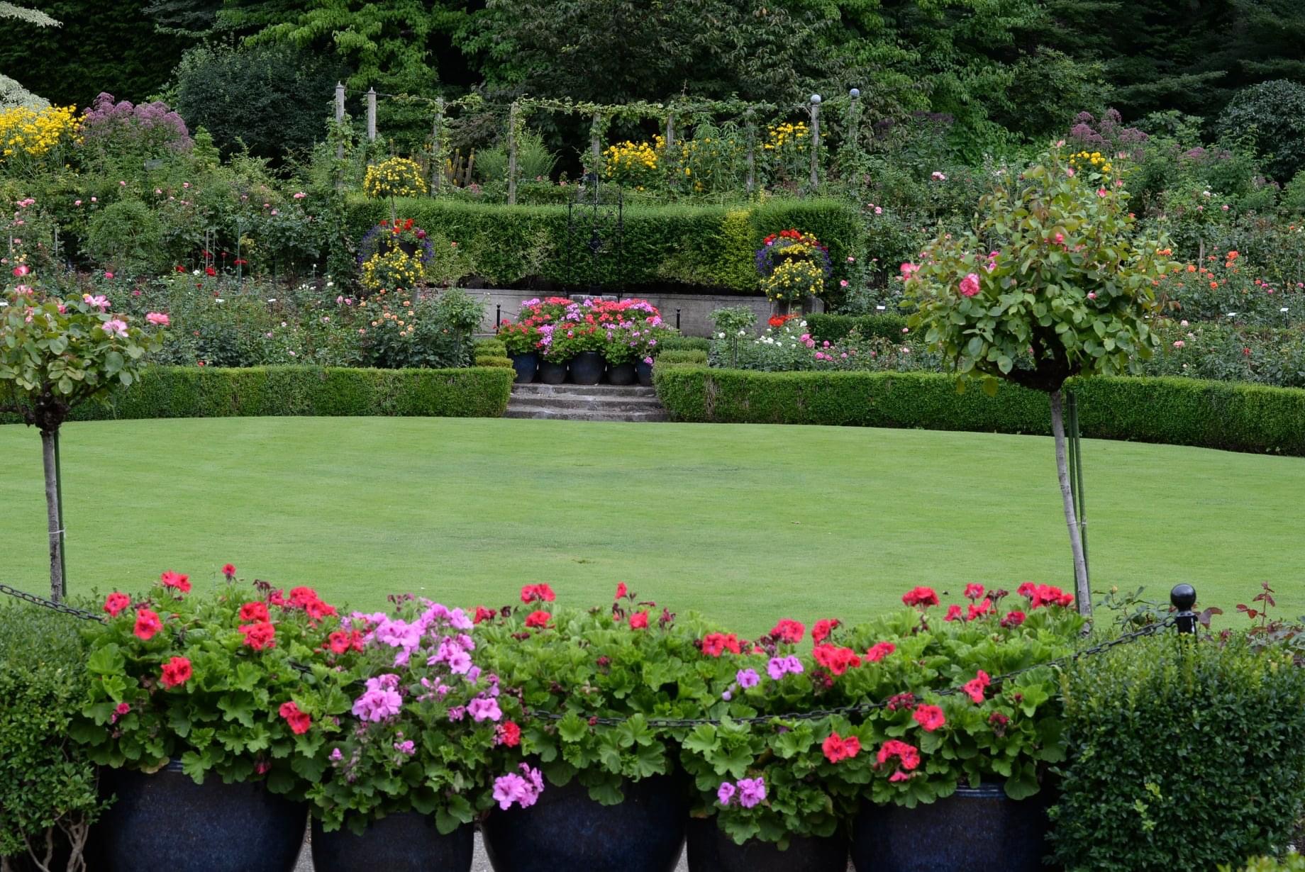 perfect lawn trimmed hedges and regimented rows of roses