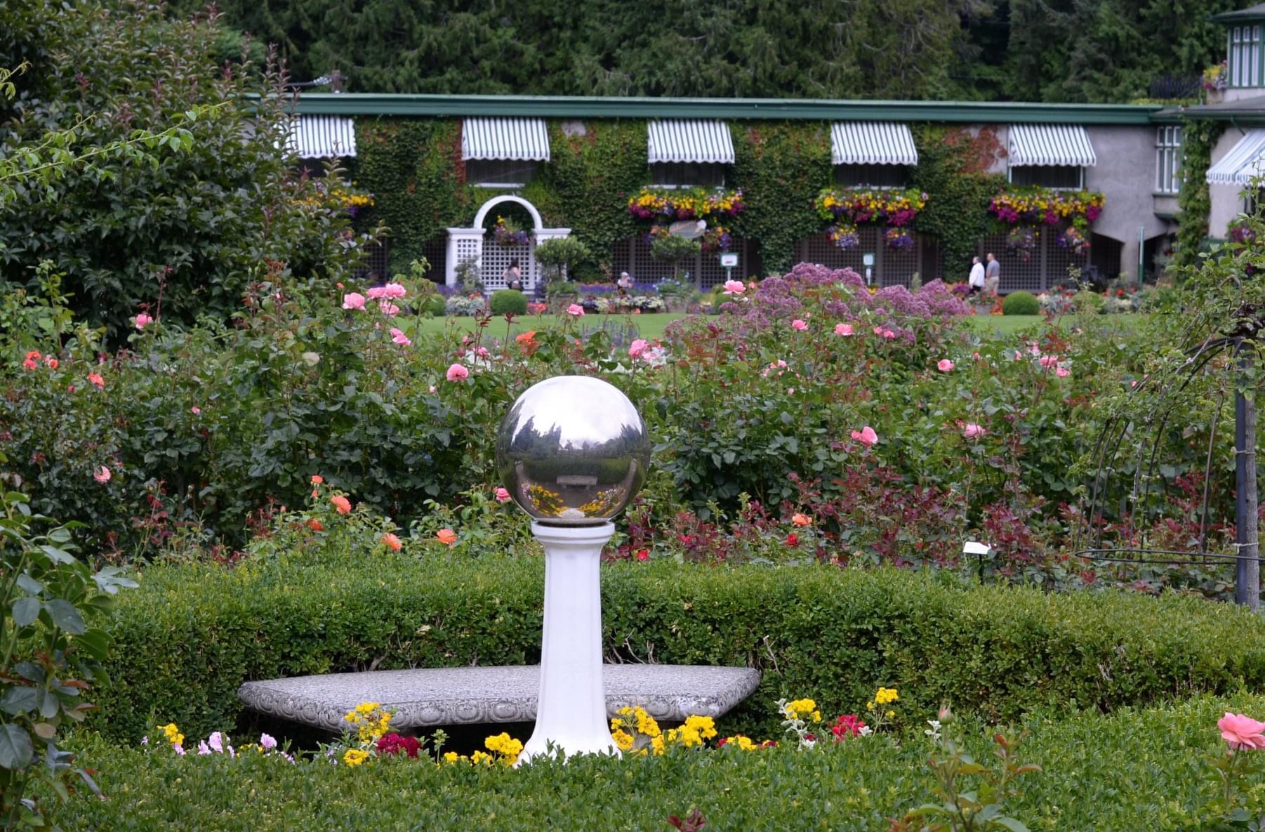 A gazing ball reflects the rose abundance all around it.